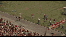 acidicmasculinearabianhorse-max-1mb